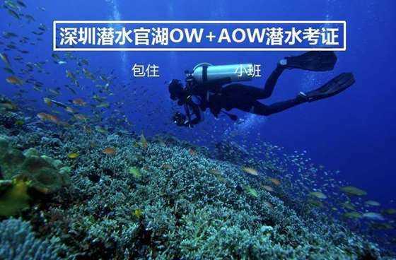 守望先锋电竞