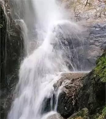 拯救昆虫群